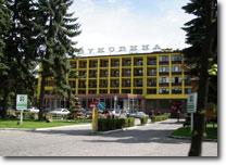 Bukovina Hotel - Chernivtsi
